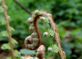 Jak wyprostować maskę w samochodzie?