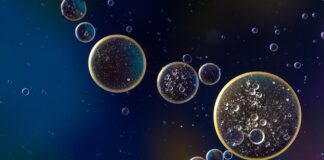 Co ile wymiana oleju Nissan Note?