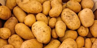 Czy można jeść gotowane ziemniaki ze skórka?