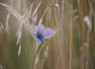 Co to znaczy warsztaty?
