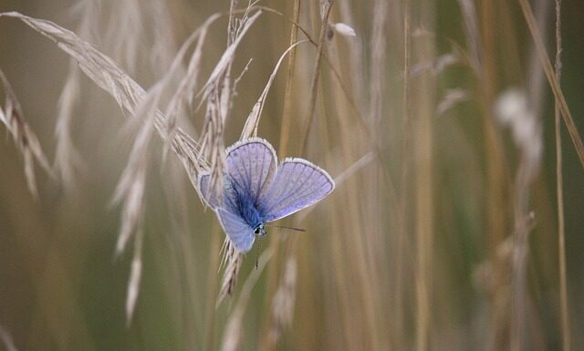 Co to znaczy warsztaty?
