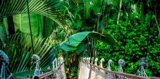 Ile kosztuje kurs na nabijanie klimatyzacji?