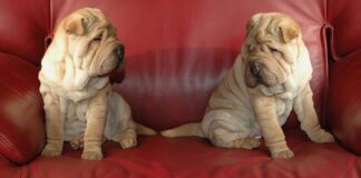 Ile można zarobić na montażu klimatyzacji?