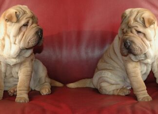 Ile można zarobić na montażu klimatyzacji?