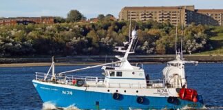 Dlaczego nowe tarcze hamulcowe rdzewieją?