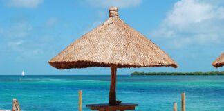 Jak działa uszczelniacz zaworowy?