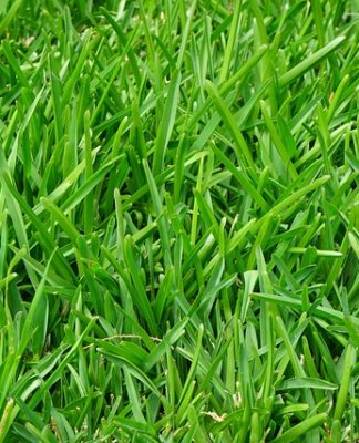 Co to znaczy nawożenie?