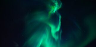 W jakim nawozie jest najwięcej azotu?