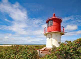 Czy można wymienić jeden wahacz?