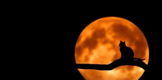 Co do domowego warsztatu?