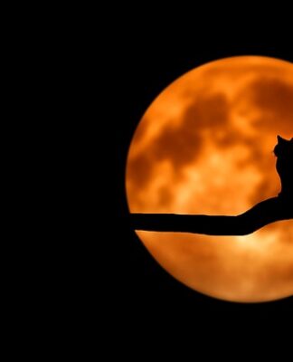 Co do domowego warsztatu?