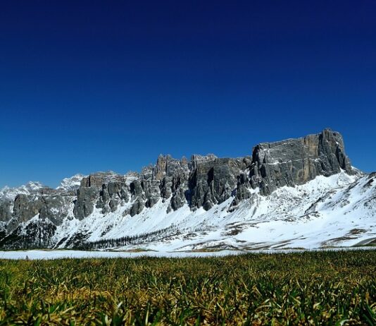 Przy jakim wietrze można siać nawóz?