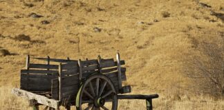 Co daje wymiana uszczelniaczy zaworowych?