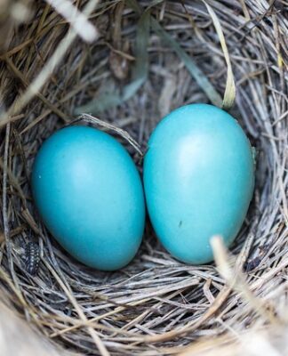 Jak i czym wyczyścić gniazdo od wtrysków?