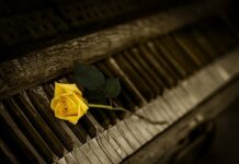 Jaki zestaw kluczy nasadowych kupić? Jaki zestaw kluczy nasadowych kupić?