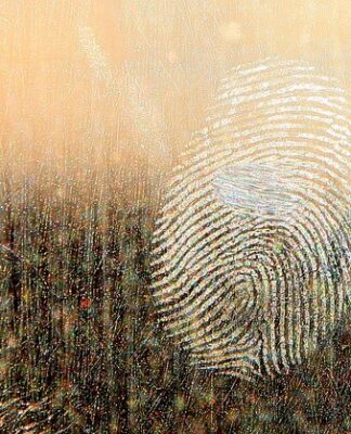 Jaki smar do prowadnic zacisków hamulcowych?