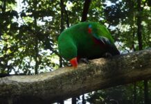 Ile kosztuje otwarcie własnego warsztatu? Ile kosztuje otwarcie własnego warsztatu?