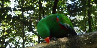 Ile kosztuje otwarcie własnego warsztatu?