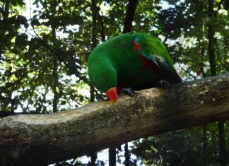 Ile kosztuje otwarcie własnego warsztatu?