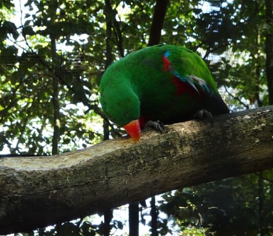 Ile kosztuje otwarcie własnego warsztatu?