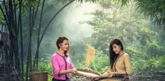 Kiedy siać NPK nawóz?