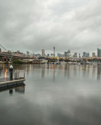 Jak użyźnić glebę bez obornika?