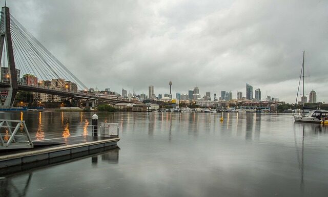 Jak użyźnić glebę bez obornika?