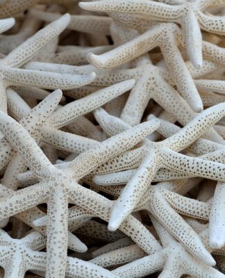 Jak wyczyścić kolektor wydechowy w motocyklu?