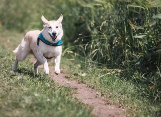 Jakie wymagania muszą spełniać stałe narzędziowe? Jakie wymagania muszą spełniać stałe narzędziowe?