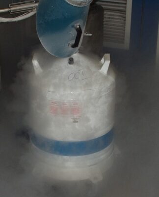 Jak wprowadzić azot do gleby?