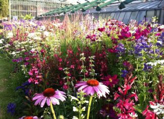 Ile kosztuje 1 tona mocznika?