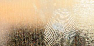 Jaki smar do tłoczków hamulcowych?