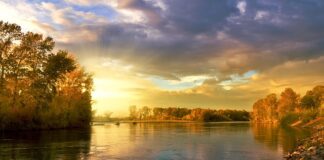 Z jaką siłą dokręcić koło?