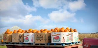 Czy jest skrzynią biegów w elektryku?