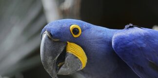 Jaka jest największa wywrotka na świecie?