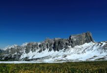 Czym jest nawóz? Czym jest nawóz?