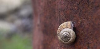 Jak działa tlenek ceru?