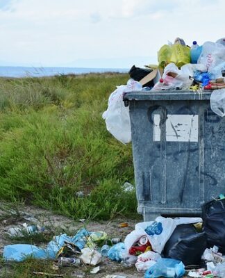 Ile kosztuje usuwanie wgnieceń bez lakierowania? Ile kosztuje usuwanie wgnieceń bez lakierowania?