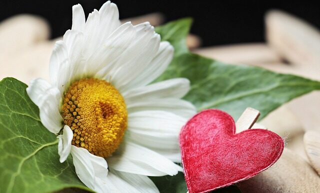 Jak oczyścić zacisk hamulcowy w motocyklu?