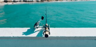 Po co jest sworzeń?