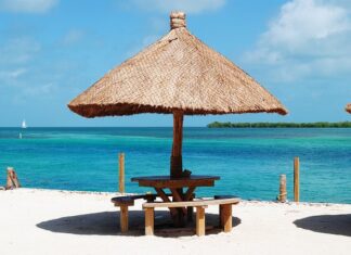 Jak sprawdzić czy uszczelniacze zaworowe są do wymiany?