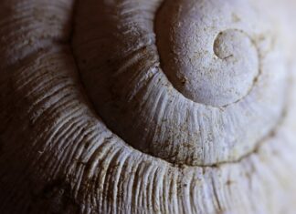 Co to jest powłoka Active Cover?