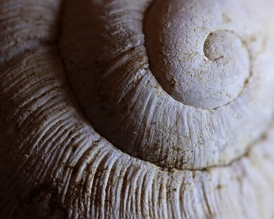 Co to jest powłoka Active Cover? Co to jest powłoka Active Cover?