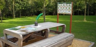 Jak urządzić warsztat?