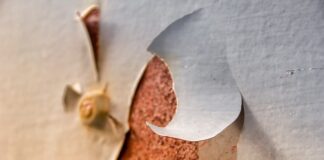 Czy za odprysk na szybie można zabrać dowód?