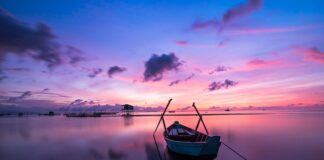 Na jaki kolor zaciski?