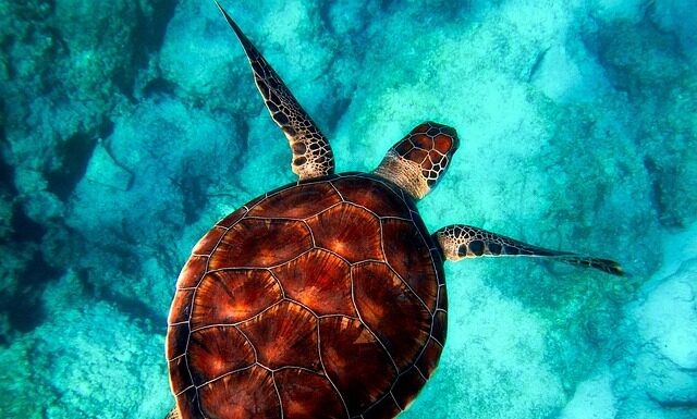 Ile kosztuje powłoka hydrofobowa?