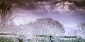 Czy można pryskać odżywkami w dzień?