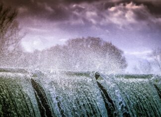 Czy można pryskać odżywkami w dzień? Czy można pryskać odżywkami w dzień?