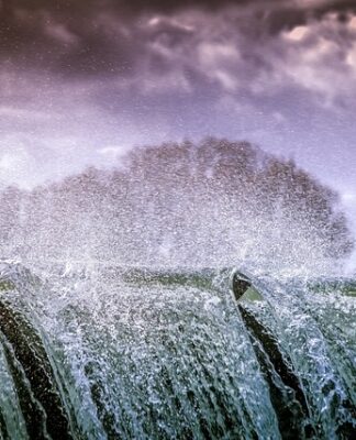 Czy można pryskać odżywkami w dzień?